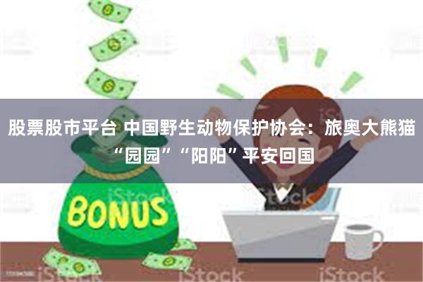 股票股市平台 中国野生动物保护协会：旅奥大熊猫“园园”“阳阳”平安回国