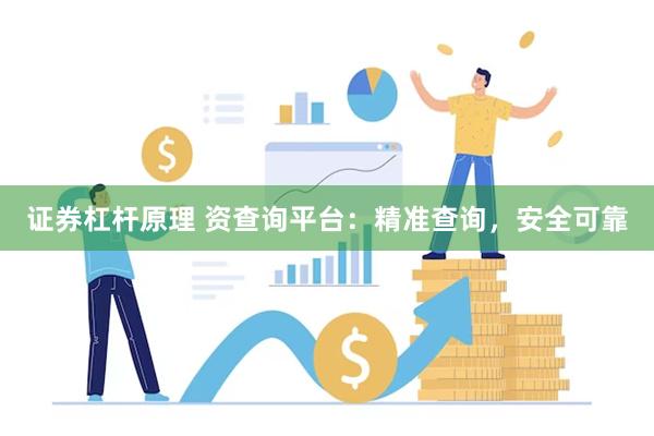 证券杠杆原理 资查询平台：精准查询，安全可靠