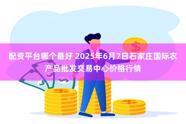 配资平台哪个最好 2025年6月7日石家庄国际农产品批发交易中心价格行情