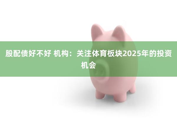 股配债好不好 机构：关注体育板块2025年的投资机会