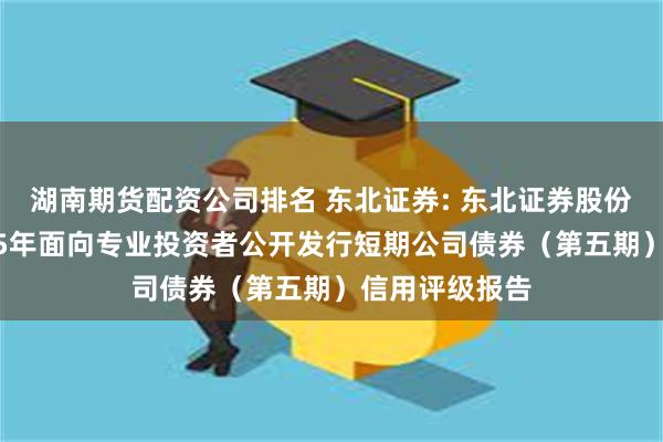 湖南期货配资公司排名 东北证券: 东北证券股份有限公司2025年面向专业投资者公开发行短期公司债券(第五期)信用评级报告