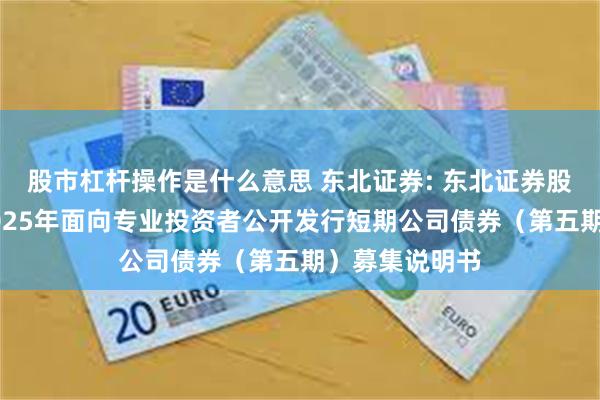 股市杠杆操作是什么意思 东北证券: 东北证券股份有限公司2025年面向专业投资者公开发行短期公司债券(第五期)募集说明书