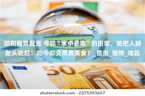 邵阳股票配资 号称“水中恶霸”的田鳖，能把人脚趾头咬烂！如今却变昂贵美食？_昆虫_猎物_地区
