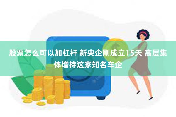 股票怎么可以加杠杆 新央企刚成立15天 高层集体增持这家知名车企