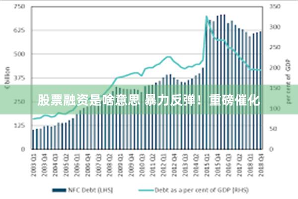 股票融资是啥意思 暴力反弹！重磅催化