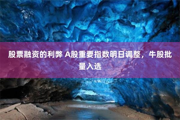 股票融资的利弊 A股重要指数明日调整，牛股批量入选