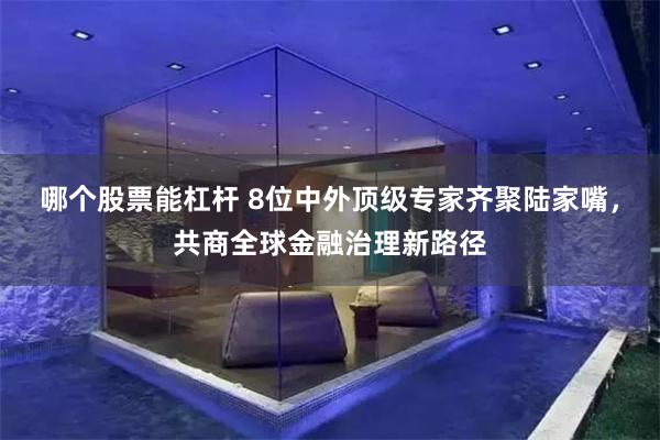 哪个股票能杠杆 8位中外顶级专家齐聚陆家嘴，共商全球金融治理新路径