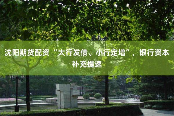 沈阳期货配资 “大行发债、小行定增”，银行资本补充提速