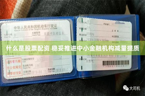 什么是股票配资 稳妥推进中小金融机构减量提质