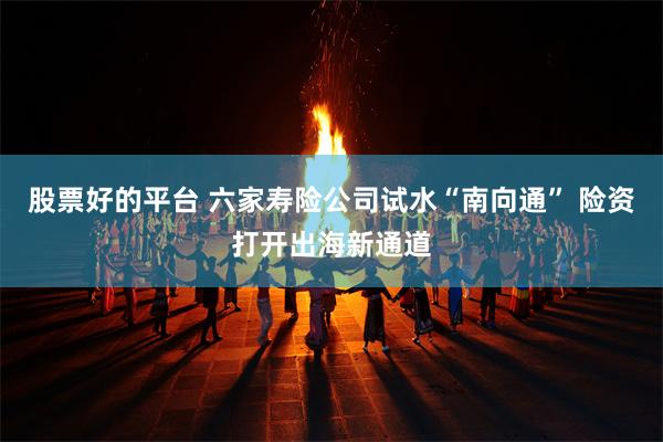 股票好的平台 六家寿险公司试水“南向通” 险资打开出海新通道