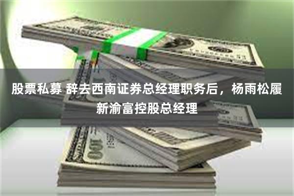 股票私募 辞去西南证券总经理职务后，杨雨松履新渝富控股总经理