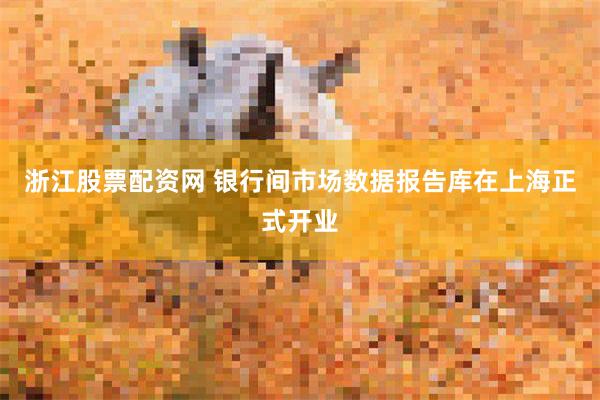 浙江股票配资网 银行间市场数据报告库在上海正式开业