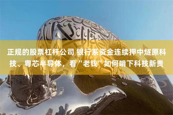 正规的股票杠杆公司 银行系资金连续押中燧原科技、粤芯半导体，看“老钱”如何啃下科技新贵