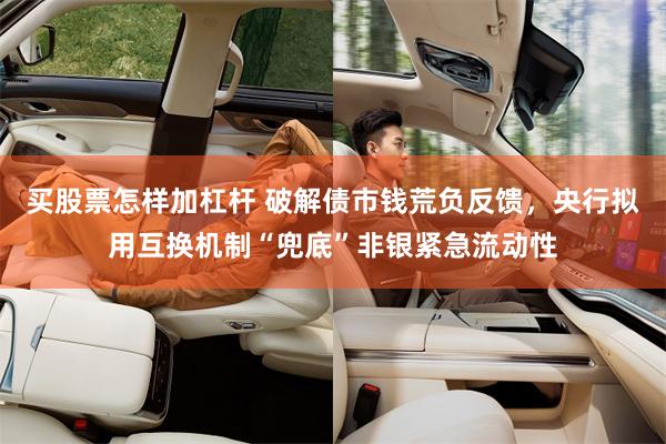 买股票怎样加杠杆 破解债市钱荒负反馈，央行拟用互换机制“兜底”非银紧急流动性