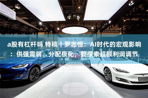 a股有杠杆吗 特稿｜罗志恒：AI时代的宏观影响：供强需弱、分配极化，要探索超额利润调节