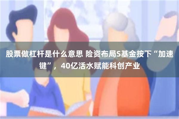股票做杠杆是什么意思 险资布局S基金按下“加速键”，40亿活水赋能科创产业