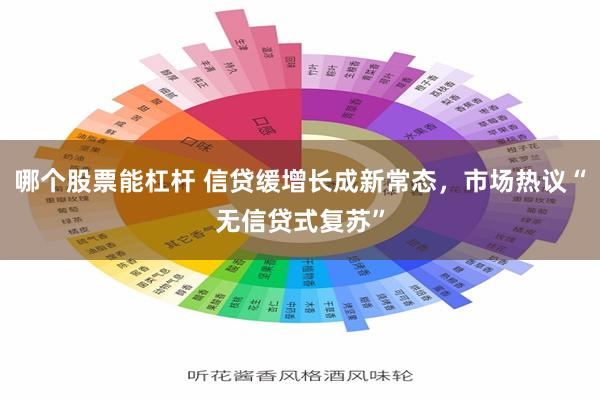 哪个股票能杠杆 信贷缓增长成新常态，市场热议“无信贷式复苏”