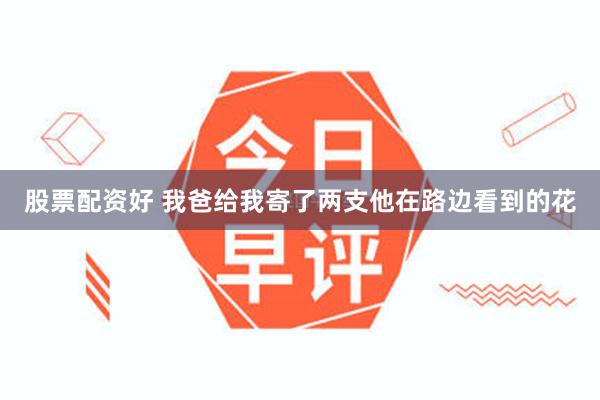 股票配资好 我爸给我寄了两支他在路边看到的花