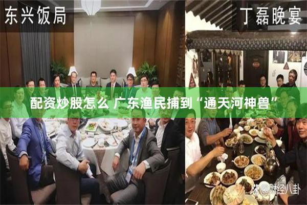 配资炒股怎么 广东渔民捕到“通天河神兽”