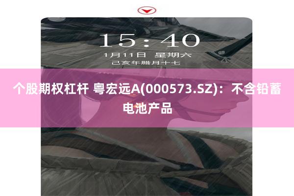 个股期权杠杆 粤宏远A(000573.SZ)：不含铅蓄电池产品