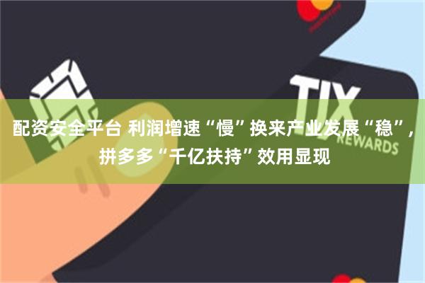 配资安全平台 利润增速“慢”换来产业发展“稳”, 拼多多“千亿扶持”效用显现