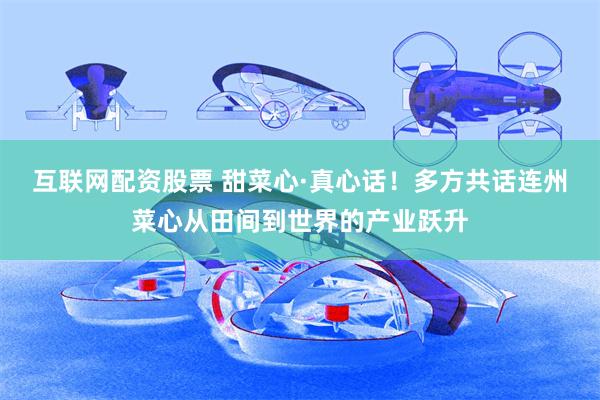 互联网配资股票 甜菜心·真心话！多方共话连州菜心从田间到世界的产业跃升