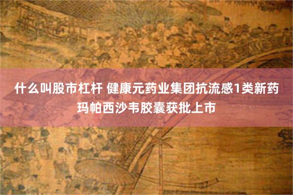 什么叫股市杠杆 健康元药业集团抗流感1类新药玛帕西沙韦胶囊获批上市