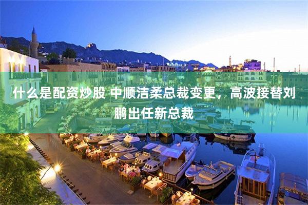 什么是配资炒股 中顺洁柔总裁变更，高波接替刘鹏出任新总裁