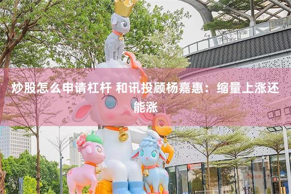 炒股怎么申请杠杆 和讯投顾杨嘉惠：缩量上涨还能涨