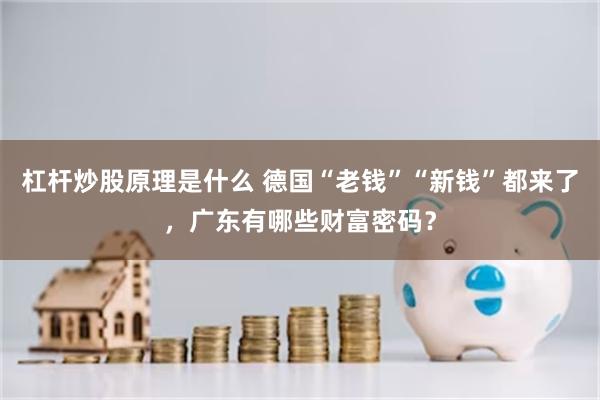 杠杆炒股原理是什么 德国“老钱”“新钱”都来了，广东有哪些财富密码？