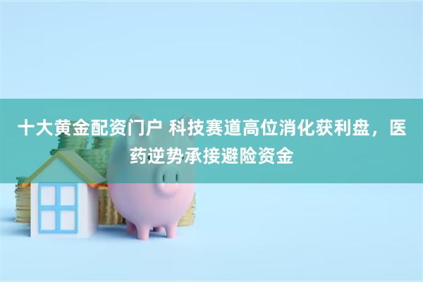 十大黄金配资门户 科技赛道高位消化获利盘，医药逆势承接避险资金