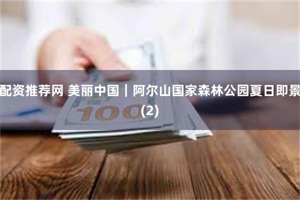 配资推荐网 美丽中国｜阿尔山国家森林公园夏日即景(2)