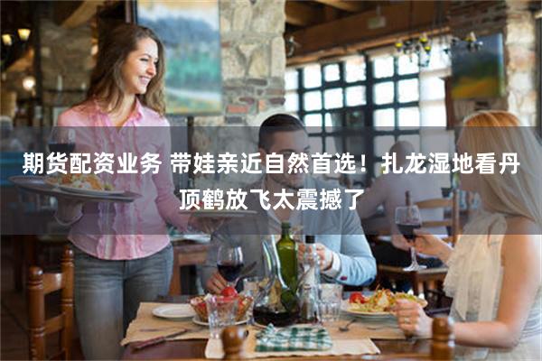 期货配资业务 带娃亲近自然首选！扎龙湿地看丹顶鹤放飞太震撼了