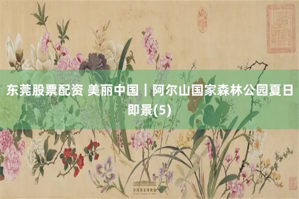 东莞股票配资 美丽中国｜阿尔山国家森林公园夏日即景(5)