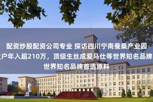 配资炒股配资公司专业 探访四川宁南蚕桑产业园：养蚕大户年入超210万，顶级生丝成爱马仕等世界知名品牌首选原料