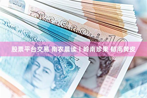 股票平台交易 南农晨读丨岭南珍果 郁南黄皮