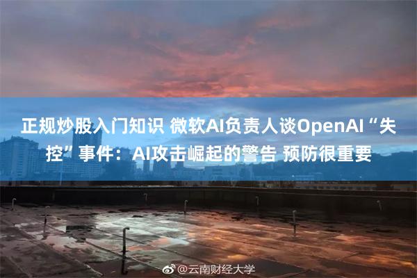 正规炒股入门知识 微软AI负责人谈OpenAI“失控”事件：AI攻击崛起的警告 预防很重要