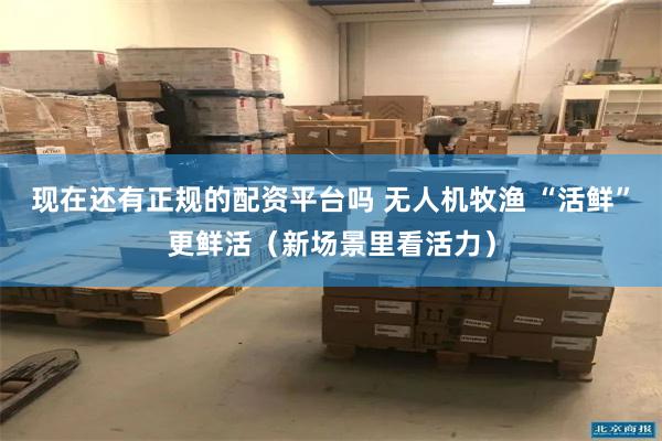 现在还有正规的配资平台吗 无人机牧渔 “活鲜”更鲜活（新场景里看活力）