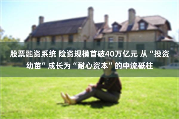 股票融资系统 险资规模首破40万亿元 从“投资幼苗”成长为“耐心资本”的中流砥柱
