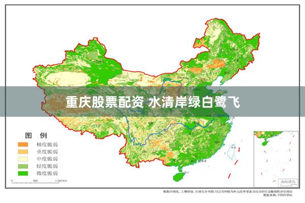 重庆股票配资 水清岸绿白鹭飞