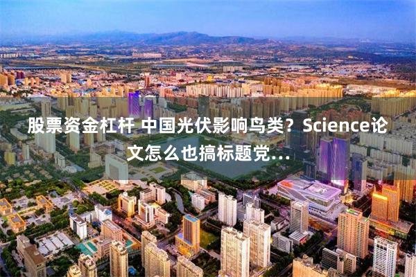 股票资金杠杆 中国光伏影响鸟类？Science论文怎么也搞标题党…