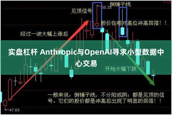 实盘杠杆 Anthropic与OpenAI寻求小型数据中心交易