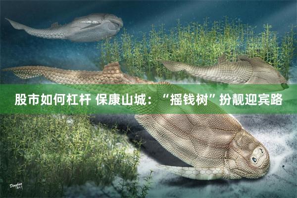 股市如何杠杆 保康山城：“摇钱树”扮靓迎宾路
