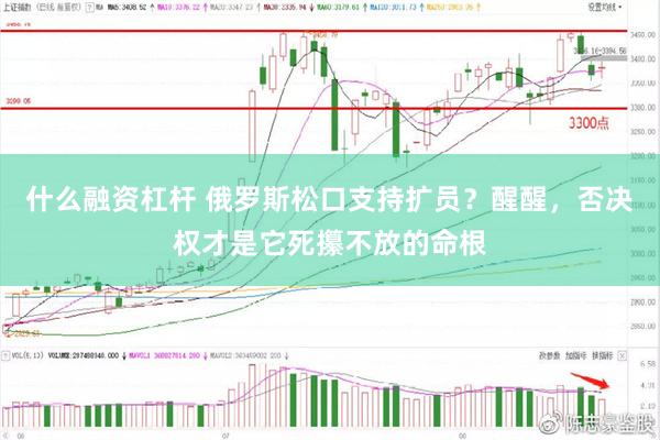 什么融资杠杆 俄罗斯松口支持扩员？醒醒，否决权才是它死攥不放的命根